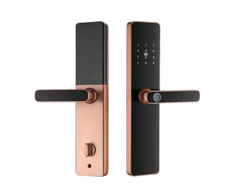 S819 Smart Fingerprint Locks Zigbee Biometrische Türschlösser für Zuhause