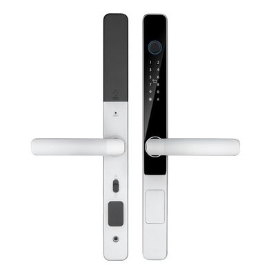 IP65 Wasserdicht Smart Tuya Wifi Fernbedienung TTlock App Digitales Türschloss
