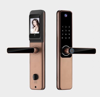 Hochsicherheitskamera Smart Lock Schwarz Silber für Wohnung
