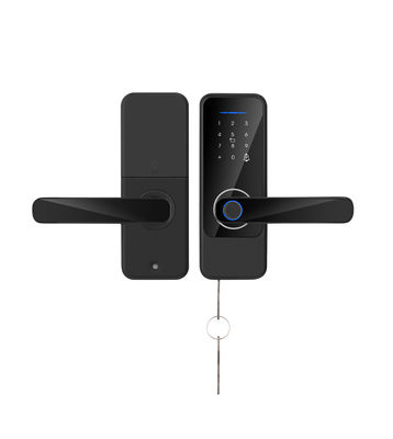 S810 Intelligentes Fingerabdruckschloss Wifi-Tasten Einfaches Türschloss Tuya Fingerabdruck TTlock Smart Home Door Lock