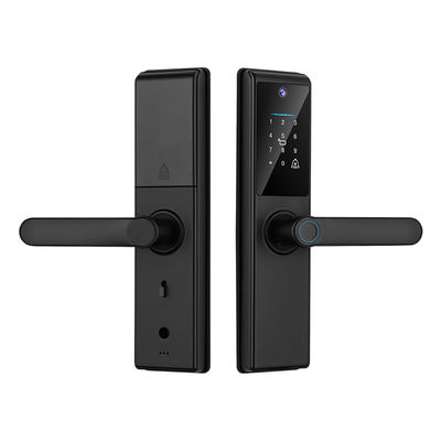 Qleung Tuya Wifi APP Smart Door Knob Fernbedienung Fingerabdruck Code Karte Schlüssel S821Max Zuhause mit Kamera