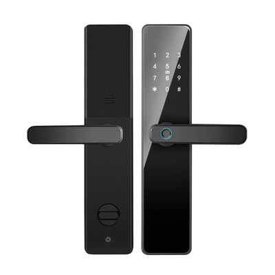Qleung S819 Aluminium Tür Fingerabdruck WiFi aktiviert Tuya TTlock mit Passwort Schlüsselkarte für zu Hause