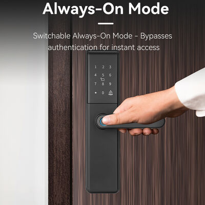 Qleung S851 Tuya Smart Door Lock mit Cloud-Datenspeicher, Schließzylinder der Klasse B und Wi-Fi-Netzwerk